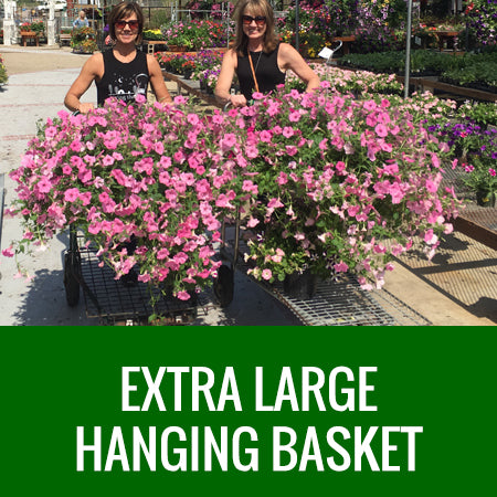huge hanging plants EXTRA LARGE HANGING BASKETS – Johansen Farms