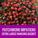 IMPATIENS (Patchwork) - EXTRA LARGE HANGING BASKET
