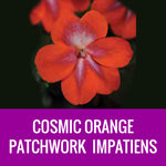 IMPATIENS (Patchwork) - FLOWER POUCH