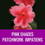 IMPATIENS (Patchwork) - FLOWER POUCH
