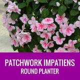 IMPATIENS (Patchwork) - ROUND PLANTER