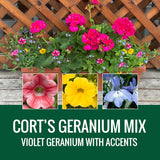GERANIUM (Johansen Special Mix) - WINDOW BOX