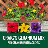 GERANIUM (Johansen Special Mix) - WINDOW BOX