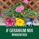 GERANIUM (Johansen Special Mix) - WINDOW BOX
