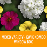 MIXED VARIETY (KWIK KOMBO) - WINDOW BOX