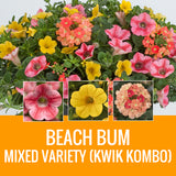 MIXED VARIETY (KWIK KOMBO) - WINDOW BOX