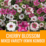 MIXED VARIETY (KWIK KOMBO) - WINDOW BOX