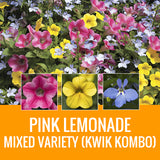 MIXED VARIETY (KWIK KOMBO) - WINDOW BOX