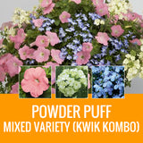MIXED VARIETY (KWIK KOMBO) - ROUND PLANTER
