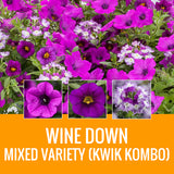 MIXED VARIETY (KWIK KOMBO) - WINDOW BOX