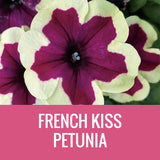 PETUNIA (CRAZYTUNIA) - 5" POT