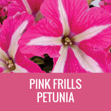 PETUNIA (CRAZYTUNIA) - 5" POT