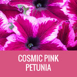 PETUNIA (CRAZYTUNIA) - 5" POT