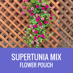 PETUNIA (Supertunia Variety) COMBO - FLOWER POUCH