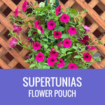 PETUNIA (Supertunia Variety) - FLOWER POUCH